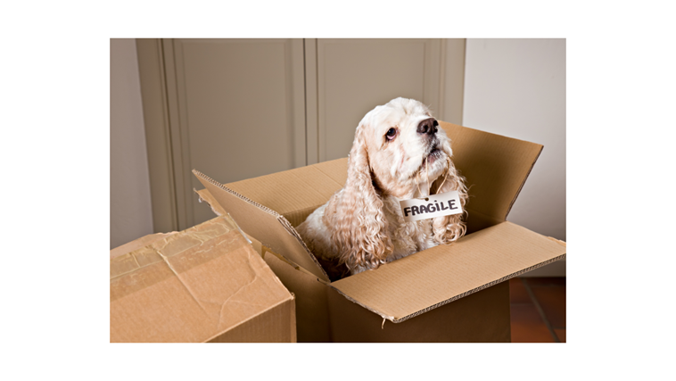 Scottsdale Long Distance Moving Company