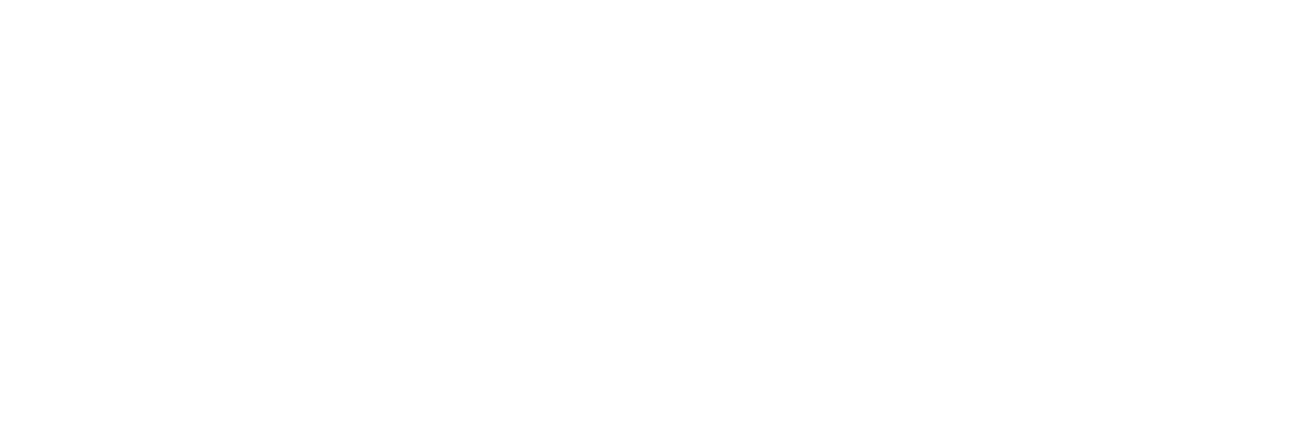 Lifetime Moving & Storage - logo